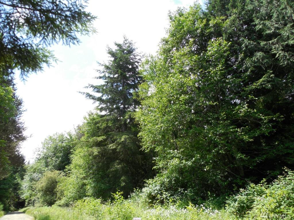 0 Solbakk Veien - Photo 1