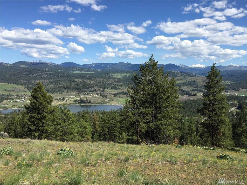 0-TBD Curlew Lake Rd - Photo 1