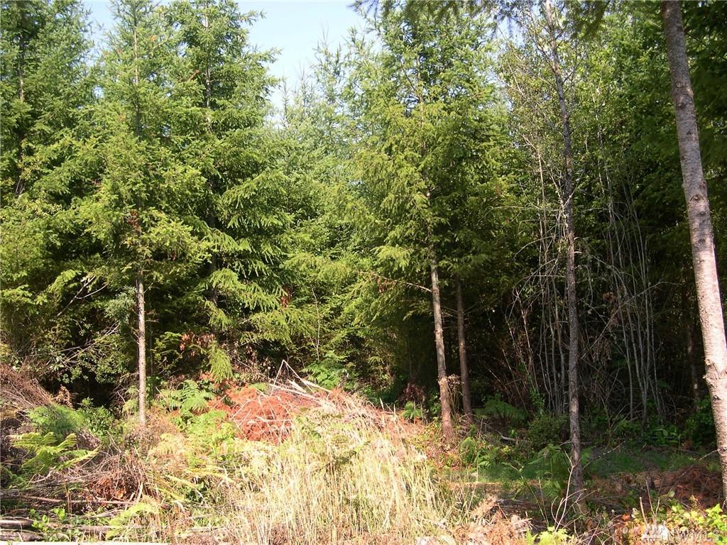 39022 Mountain Park Dr - Photo 1