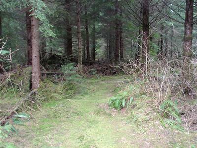 2-Lot 2 Mountain Loop Hwy - Photo 1