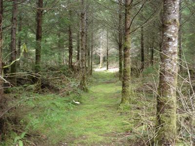 3-Lot 3 Mountain Loop Hwy - Photo 1