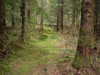 4-Lot 4 Mountain Loop Hwy - Photo 1