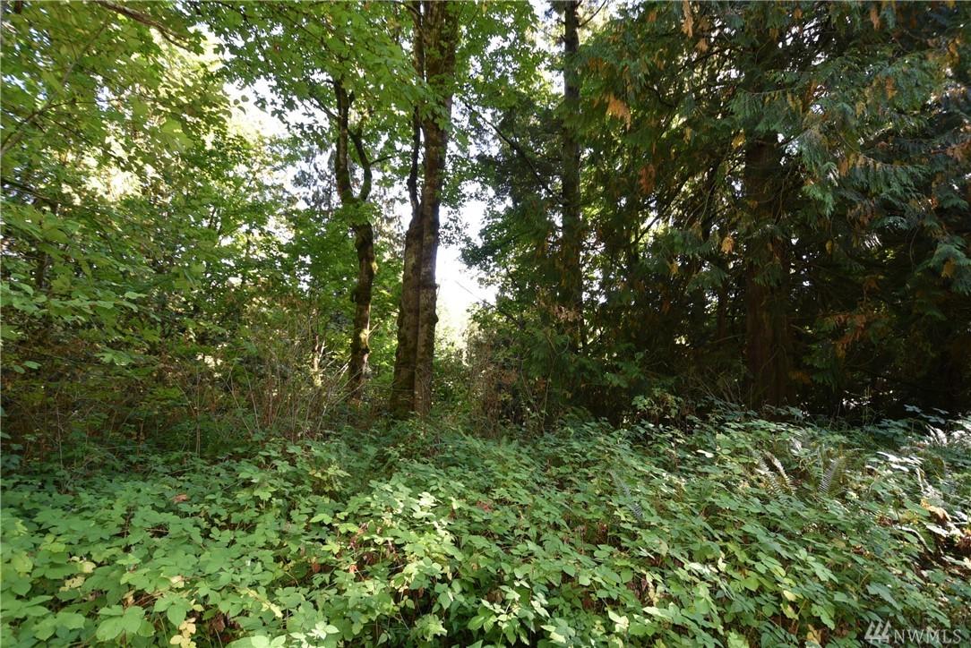 0 Cain Lake Rd - Photo 1