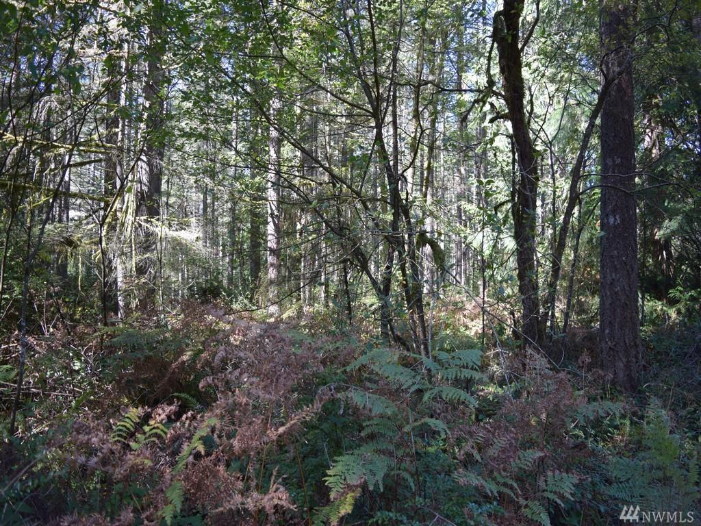 0-XXX Twin Maple Lane - Photo 1