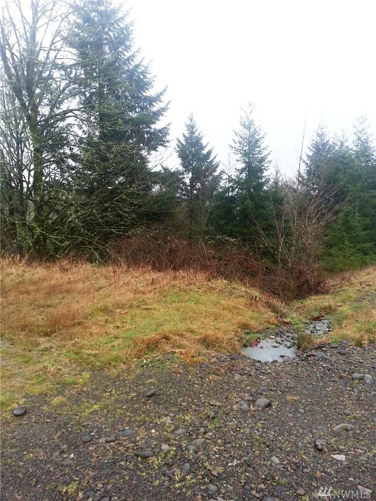 239 Cowlitz Ridge Rd - Photo 1