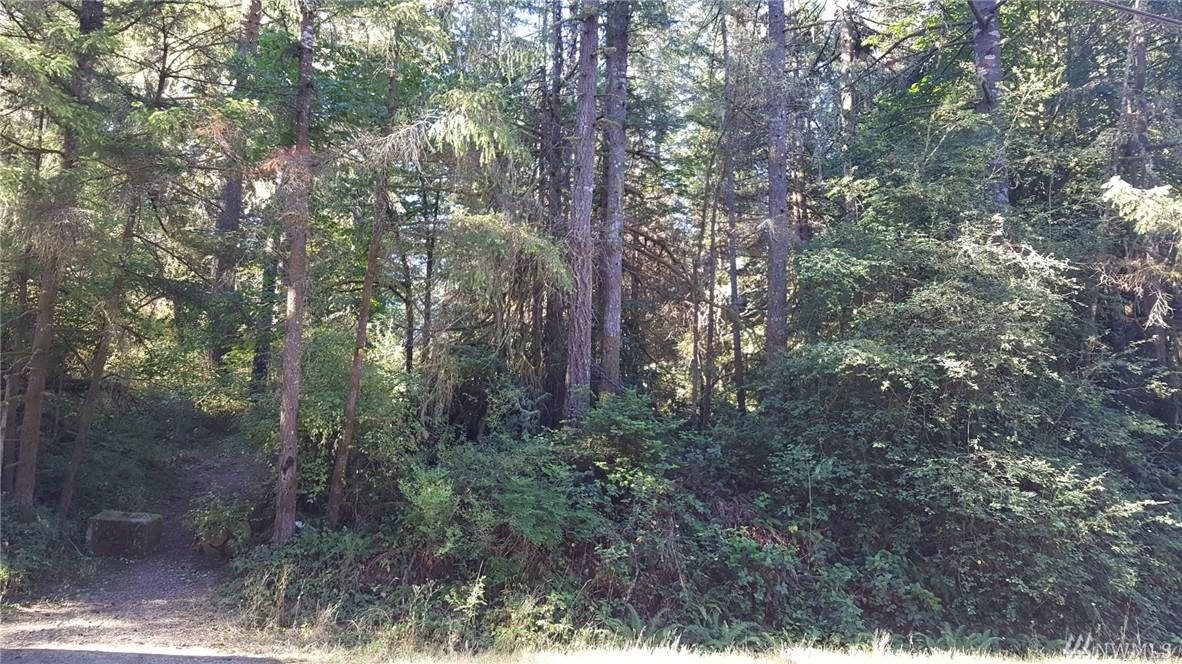 2641 28th Ave - Photo 1