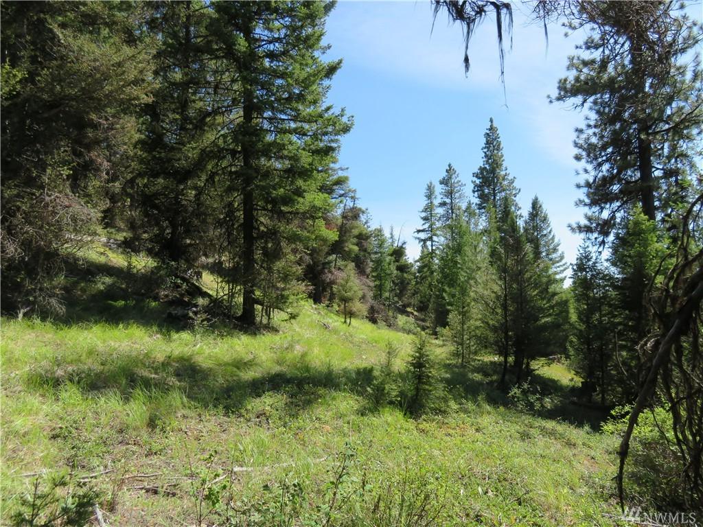0-TBD Tamarack Ridge Rd - Photo 1