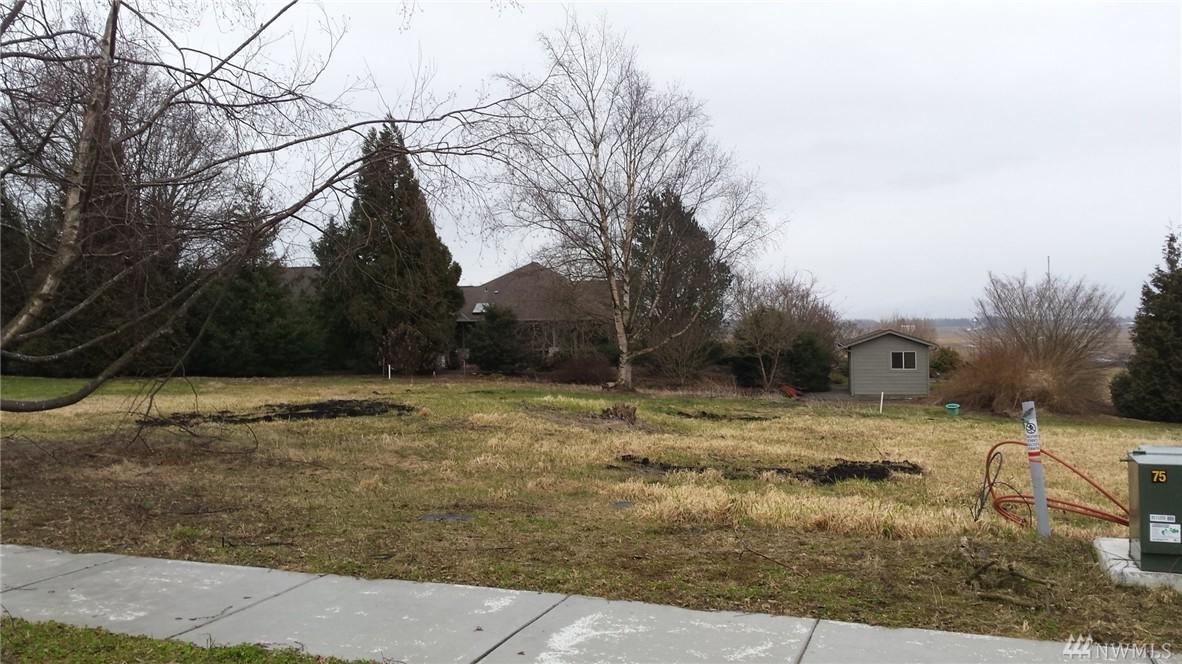 111 Terrace Dr - Photo 1