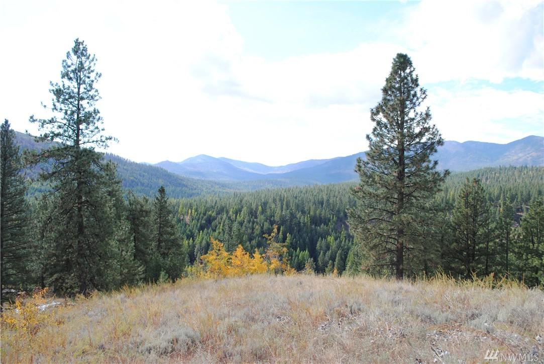 0 Fork Rd - Photo 1