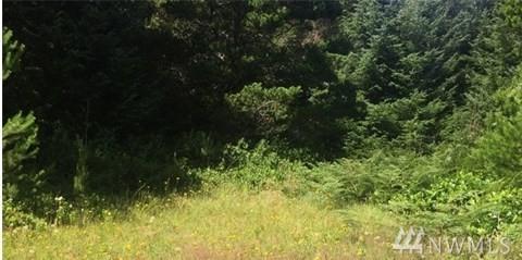 0 137th Lane - Photo 1