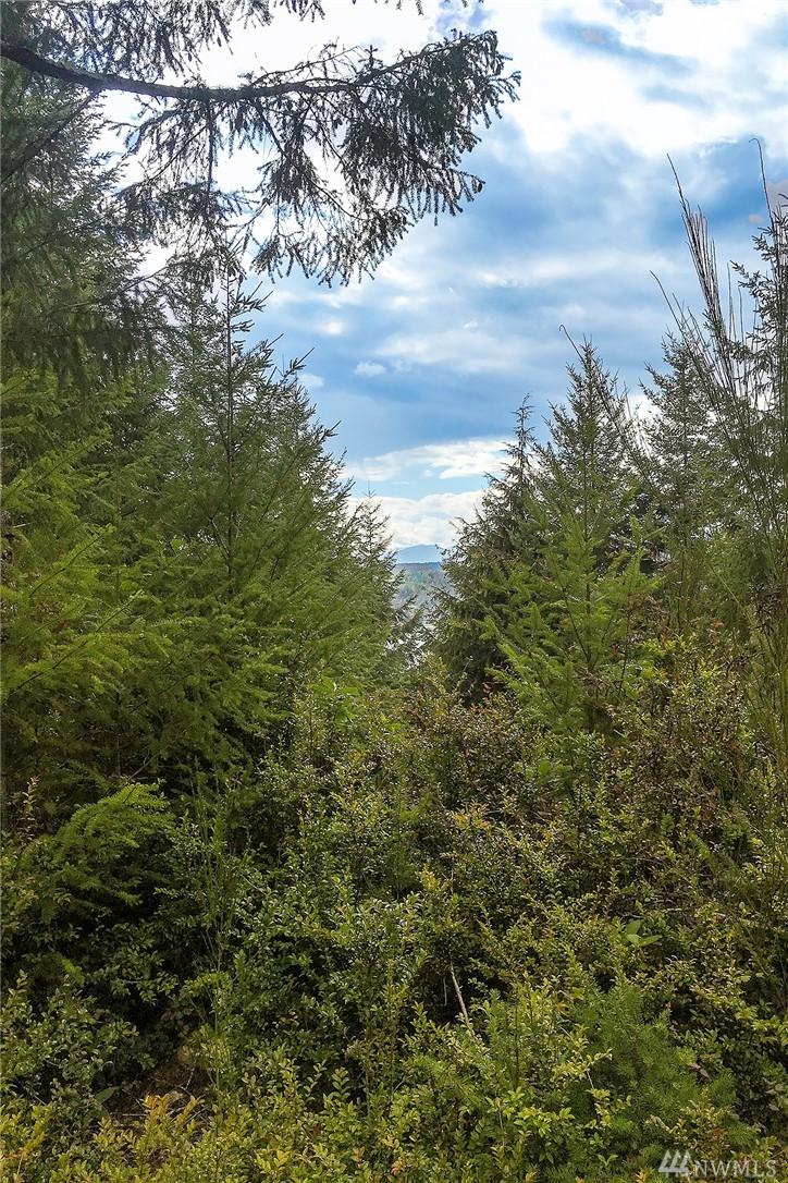 6-B Aquila Ridge Rd - Photo 1