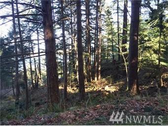 0 Island Dr - Photo 1