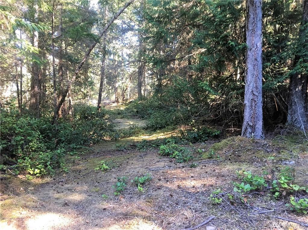 1954 Thatcher Pass Rd - Photo 1