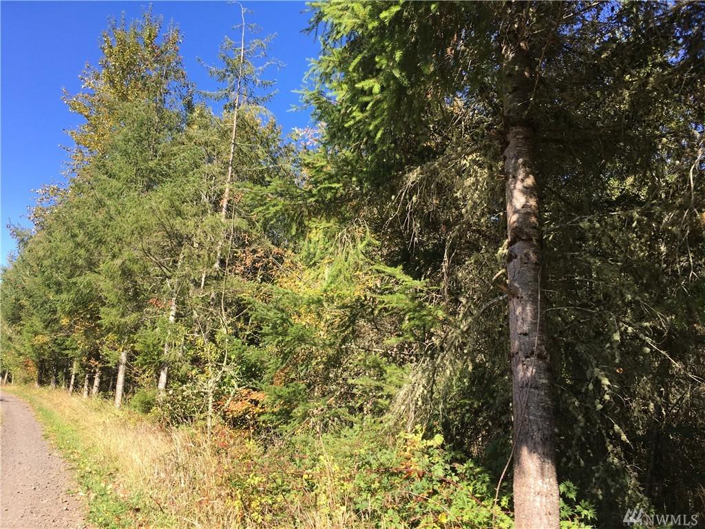275 Westshore Rd - Photo 1