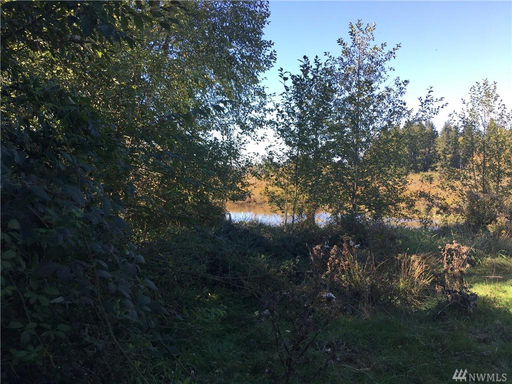 117 Westshore Rd - Photo 1