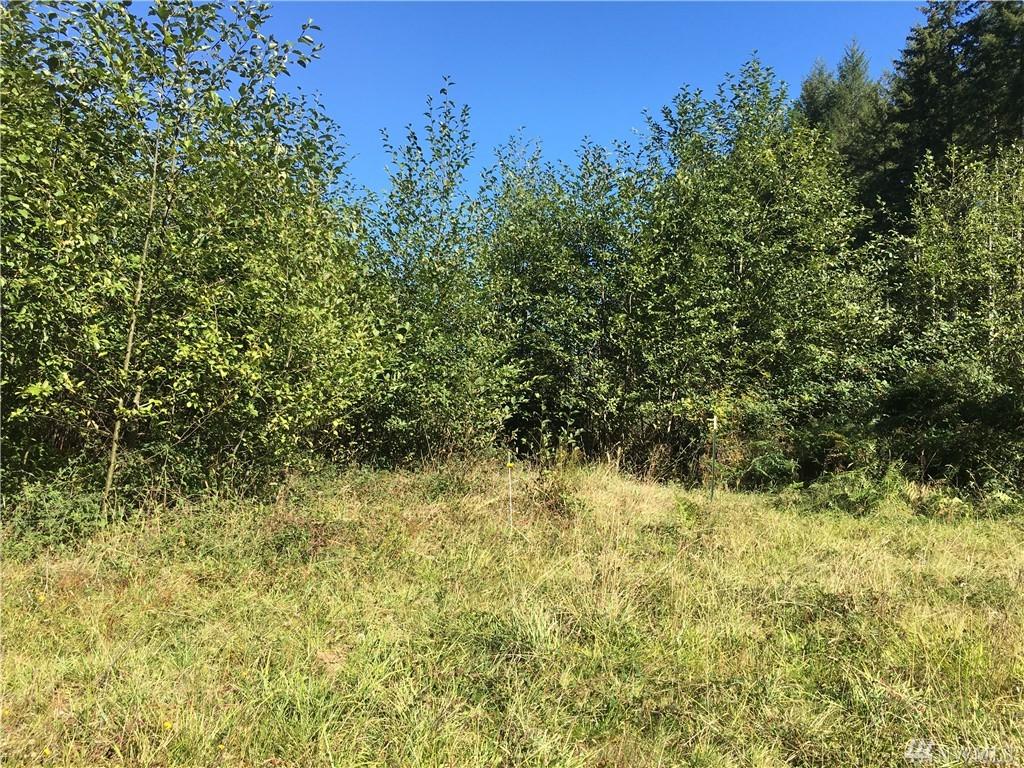 275 West Shore Rd - Photo 1