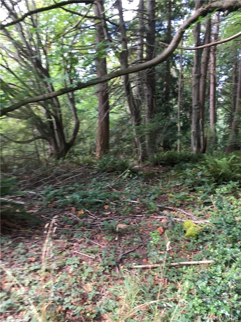 8081 Cultus Bay Rd - Photo 1