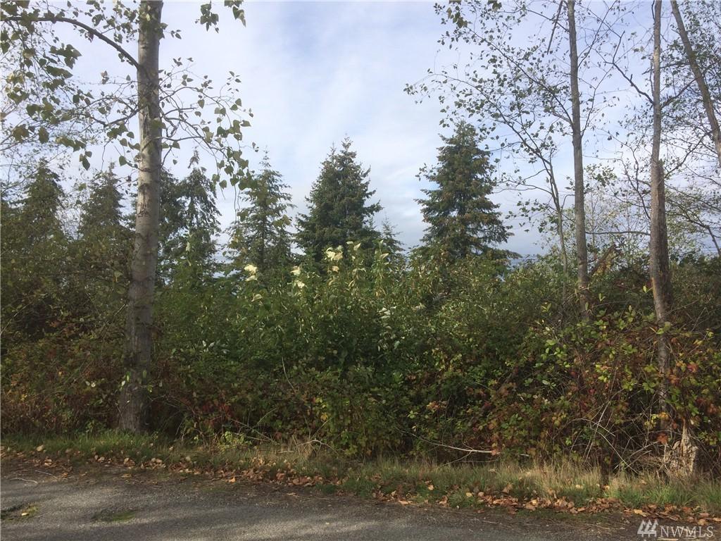 0-Lot 10 Sunburst Dr - Photo 1