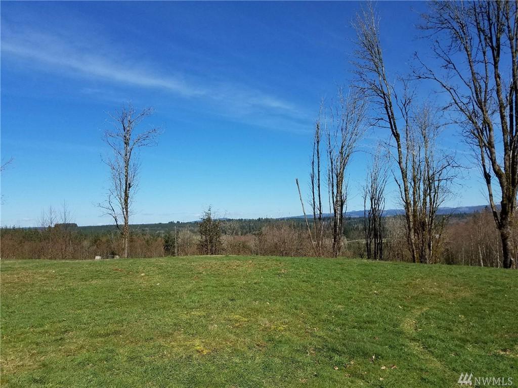 255 Ruger Lane - Photo 1