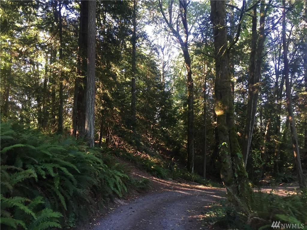20 Acres Ne Rotsten Lane - Photo 1