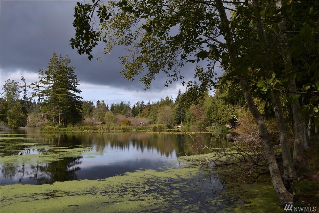 0-Lot 49 Lake Dr - Photo 1