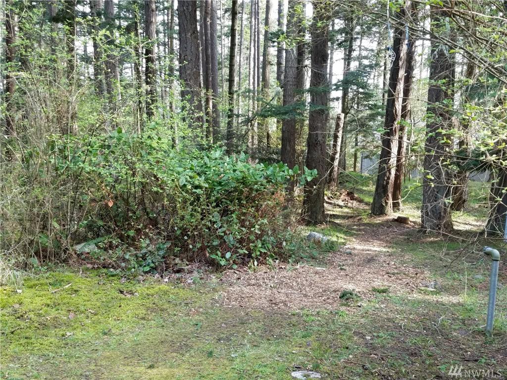 0-xxx Black Fox Place - Photo 1