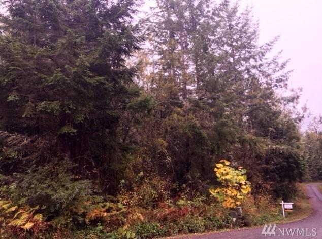 0 Blyn Springs Rd - Photo 1