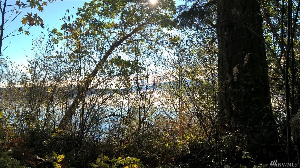 0 Hood Canal Dr - Photo 1