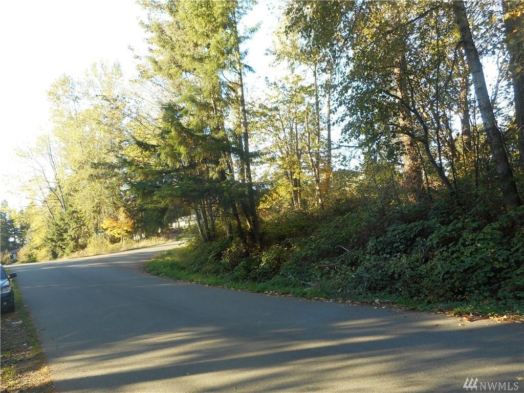 11008 298th Place - Photo 1