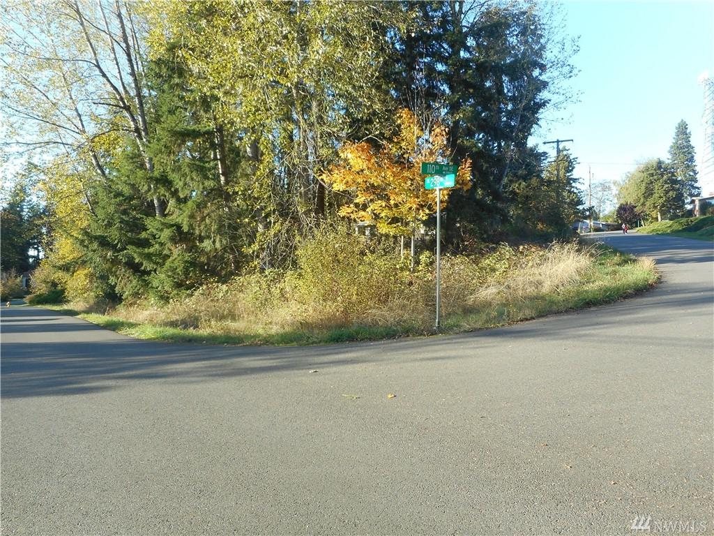 29717 110th Ave - Photo 1
