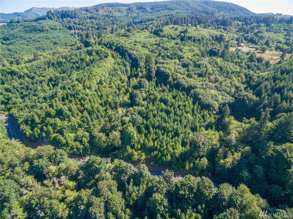 1 Kalama River Rd - Photo 1