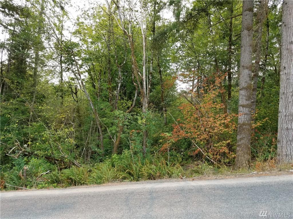 0 Raubuck Rd - Photo 1
