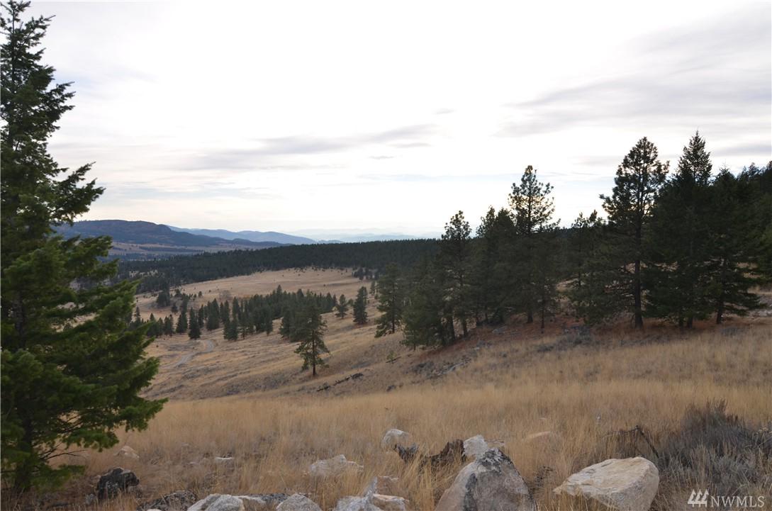 0-Lot 36 Summit Ridge Rd - Photo 1