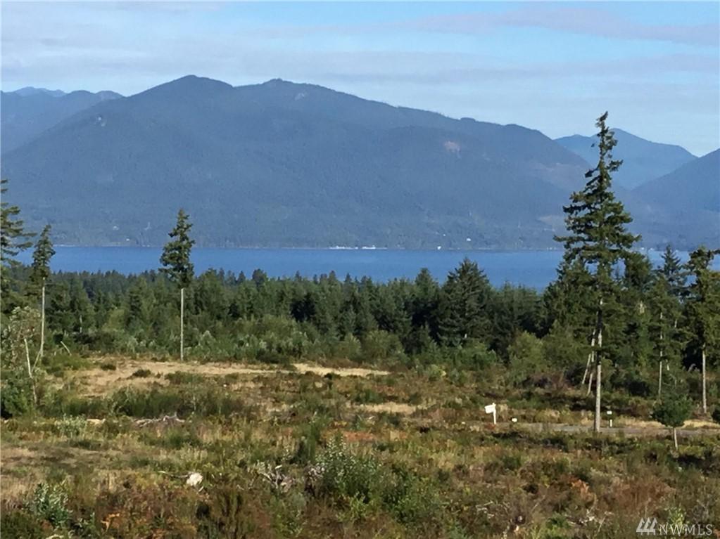 0 Lot 7 Pioneer Rd - Photo 1