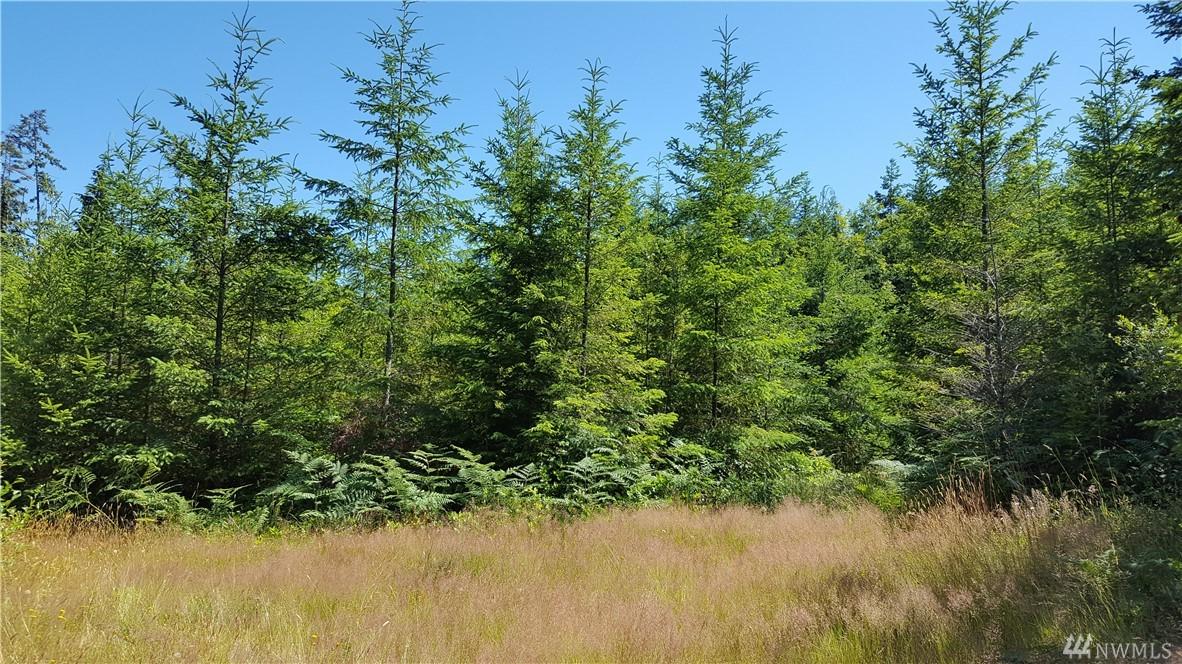 0-9.95 Acr Robinson Rd - Photo 1