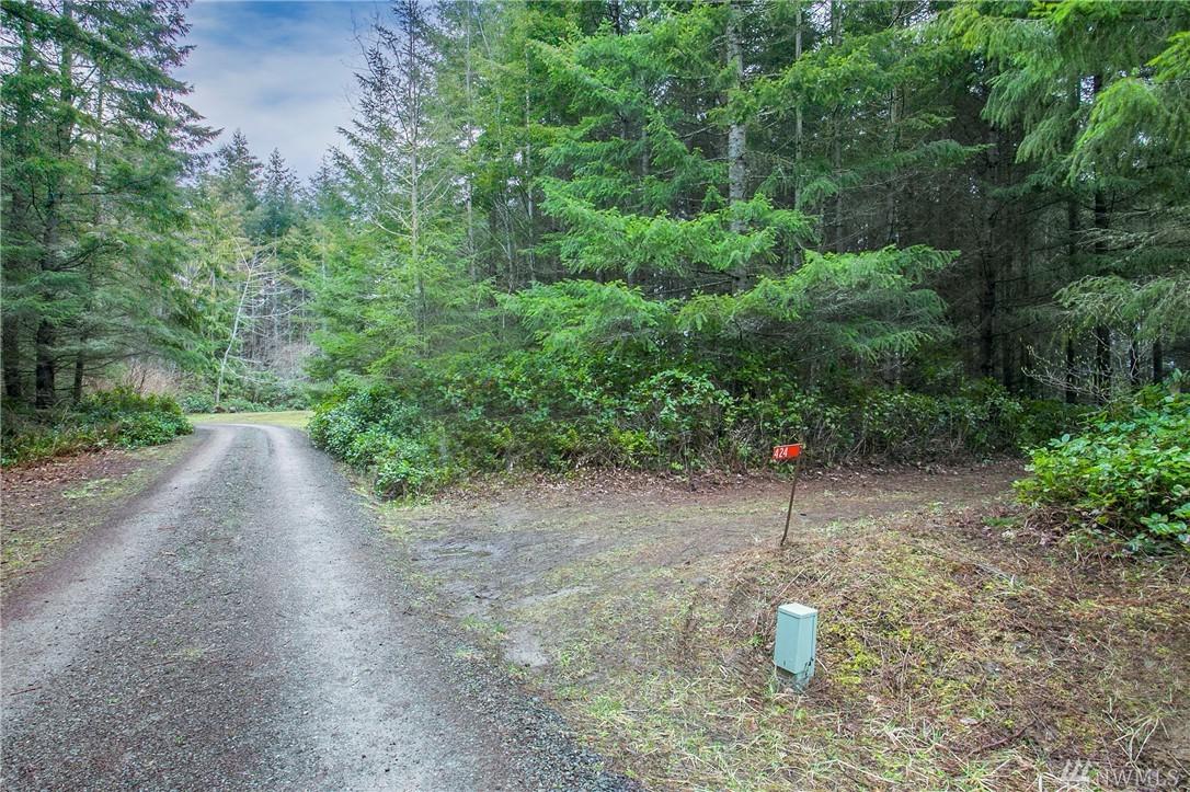 424 Skywater Dr - Photo 1