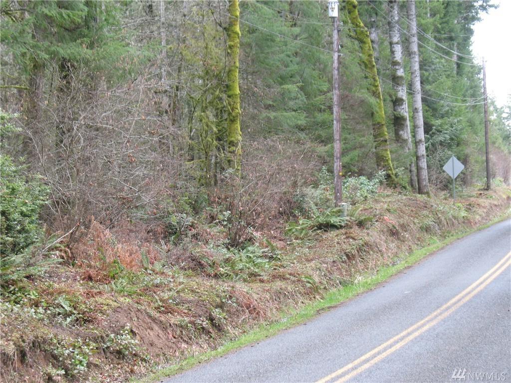 1-acre Harstine Island Rd - Photo 1