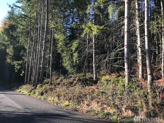 0 Lot #5 Ne Ohman Rd - Photo 1