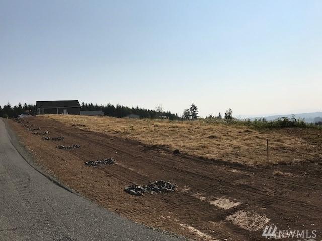 0-Lot F Yeti Lane - Photo 1