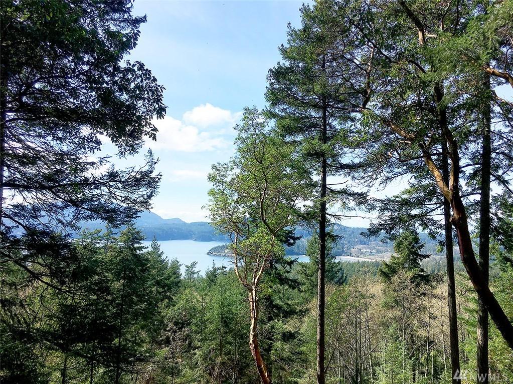 0-XXX Buck Mountain Rd - Photo 1