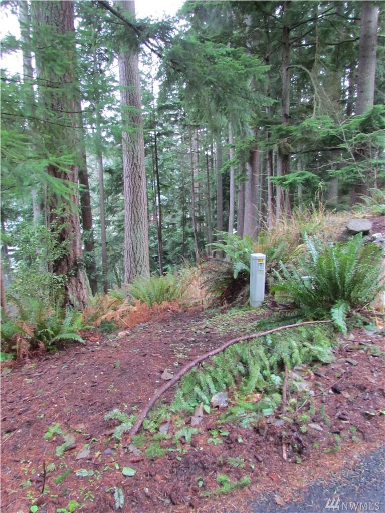 21 Hawks Hill Place - Photo 1