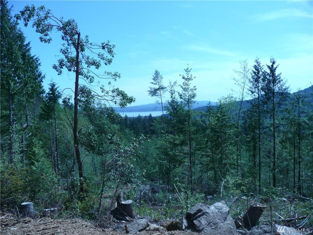 0 Dosewallips Rd - Photo 1