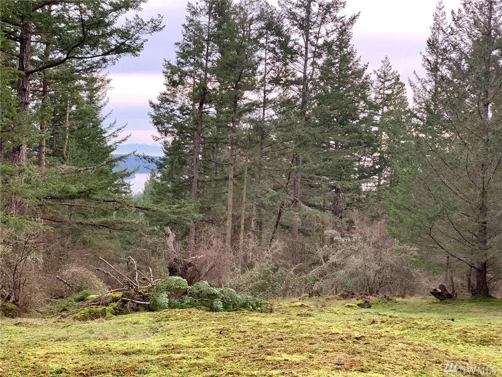 0 Xx Guthrie Cove Rd - Photo 1
