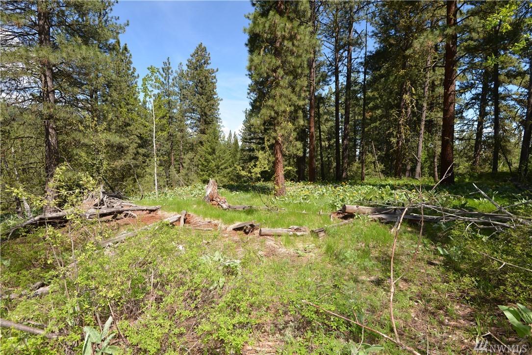 5 Red Pine Ct - Photo 1