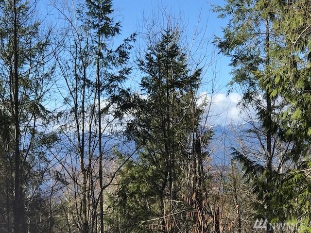 0 Lathrop Lane - Photo 1
