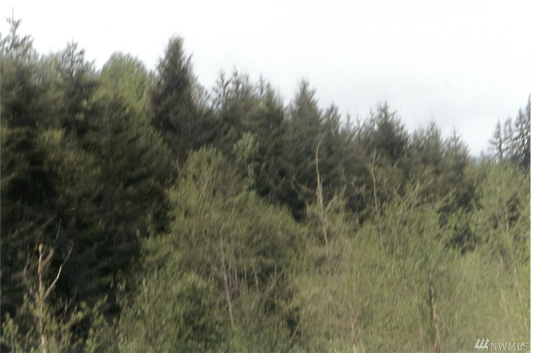 0 Workman Creek Rd - Photo 1