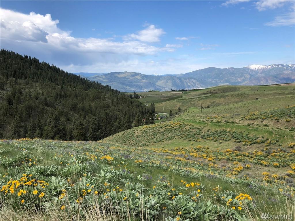 156 Purtteman Gulch - Photo 1