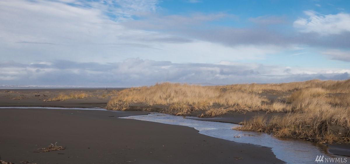 70 Dunes Lane - Photo 1