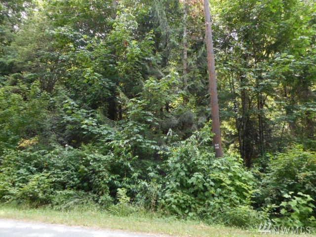16100 Jordan Trail Rd - Photo 1