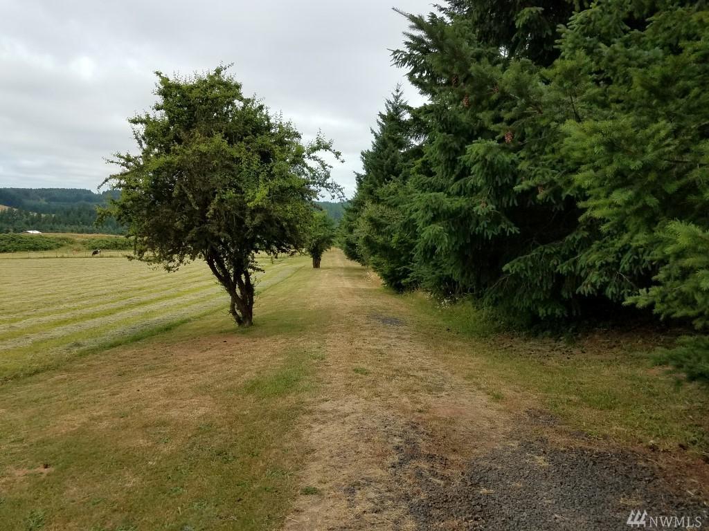 0-XX Lot 4 Mohoric Rd - Photo 1
